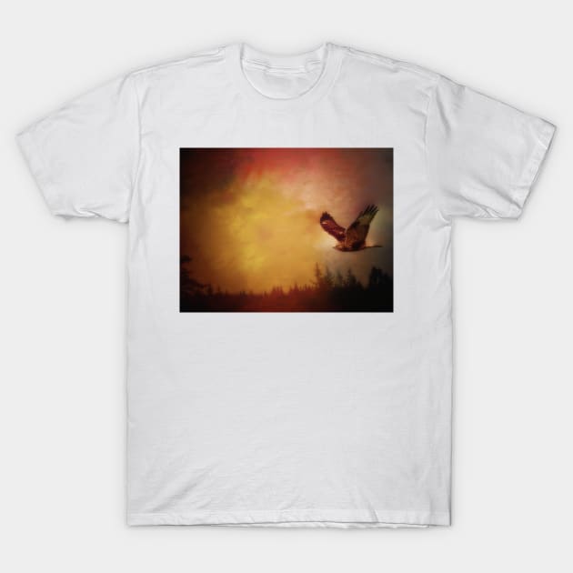 Rough-legged Hawk On The Hunt T-Shirt by JimDeFazioPhotography